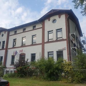 Psi Koszarowa